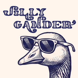 Sillygander Volunteer Signup